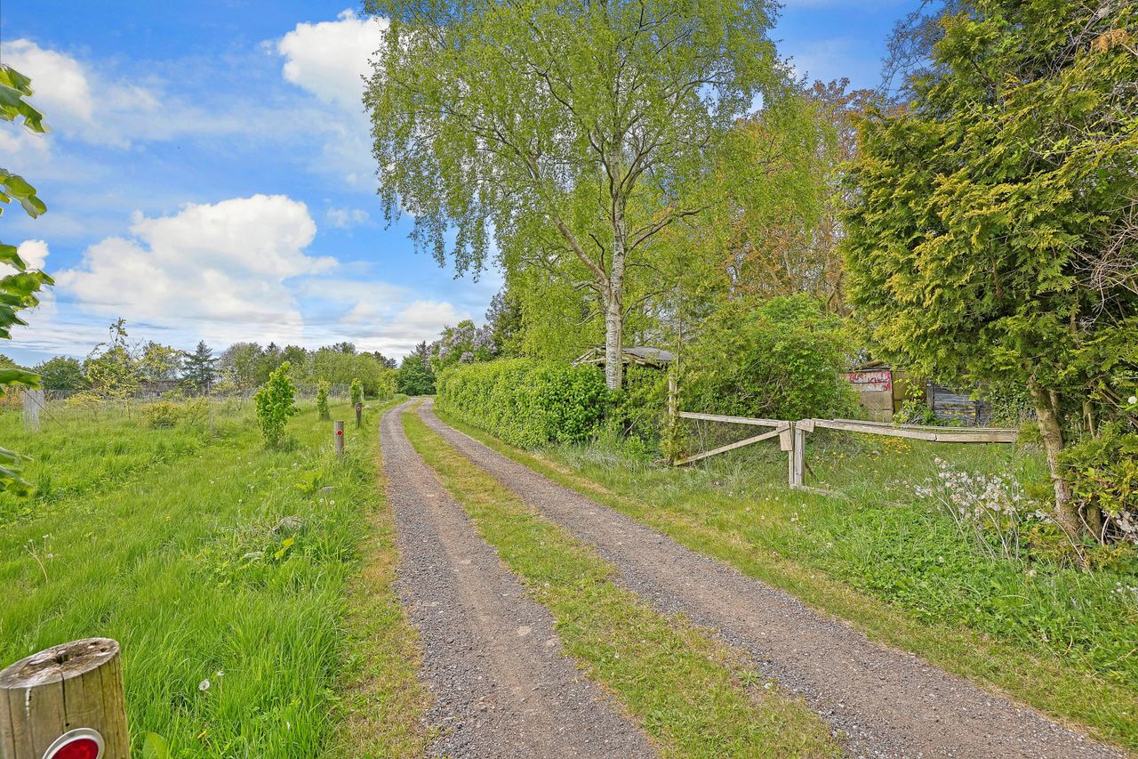 image 02