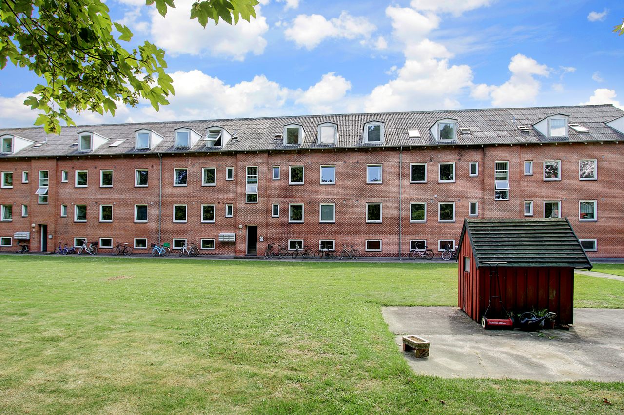 image 01