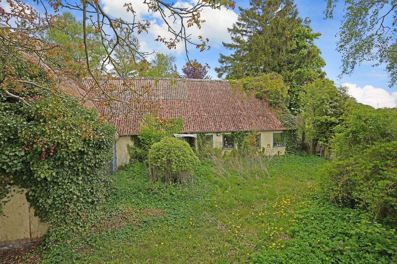 image 01