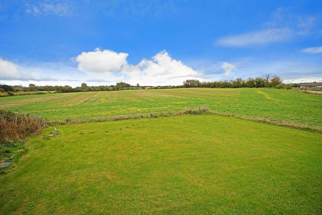 image 02