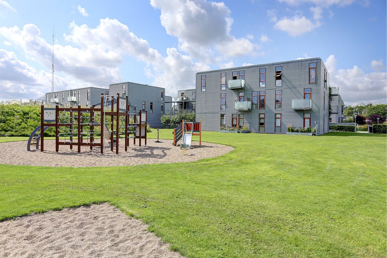 image 01
